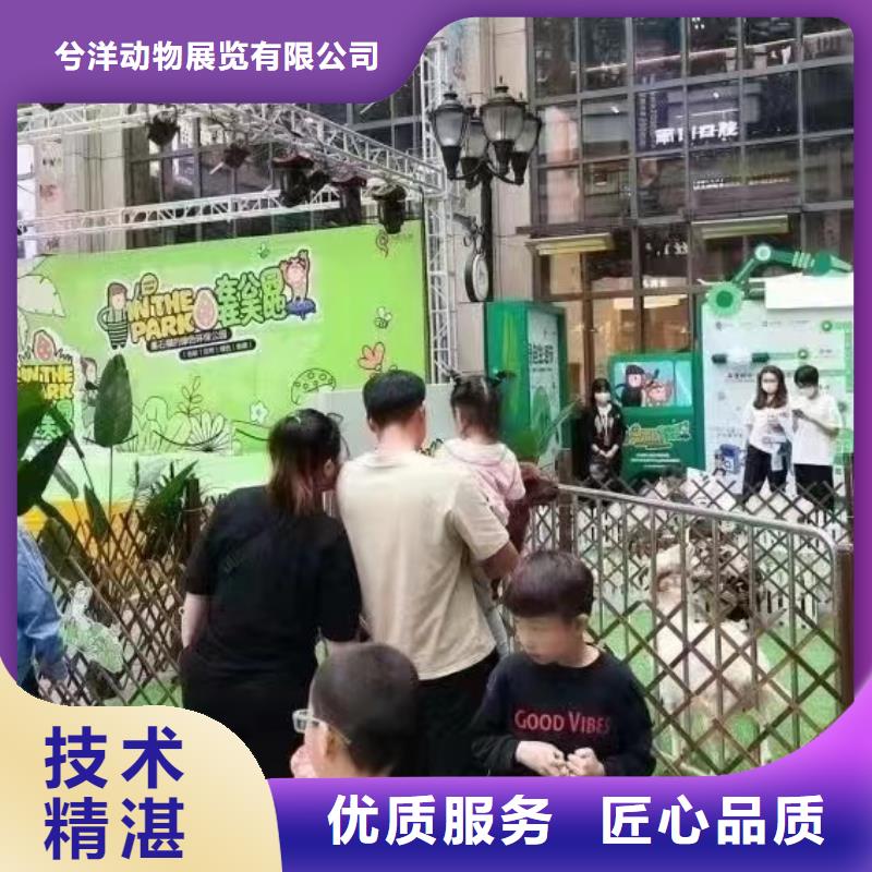 萌宠动物展租赁点击