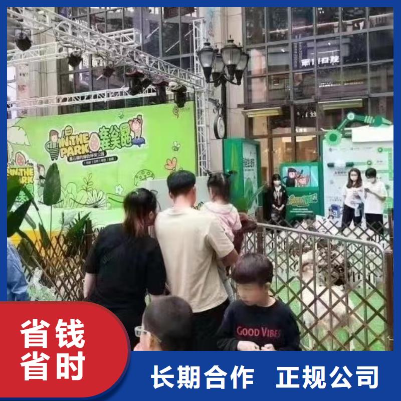 动物表演租赁活跃气氛