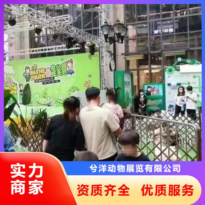 【马戏团/羊驼】,海洋展租赁效果满意为止