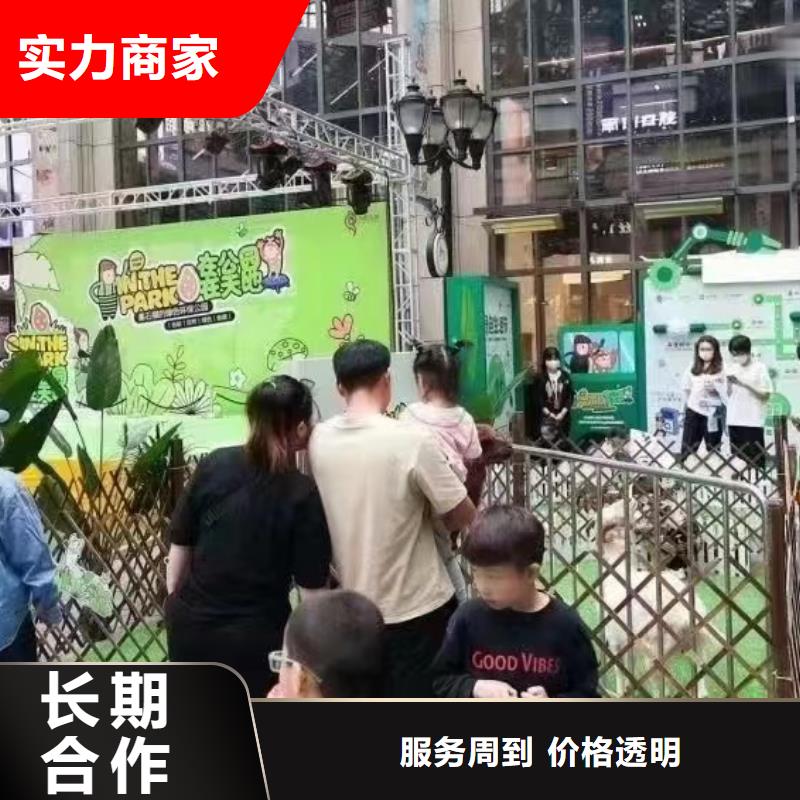 动物表演租赁活跃气氛