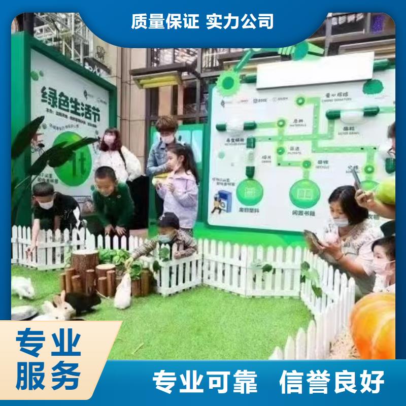 羊驼马戏团表演租赁现货充足