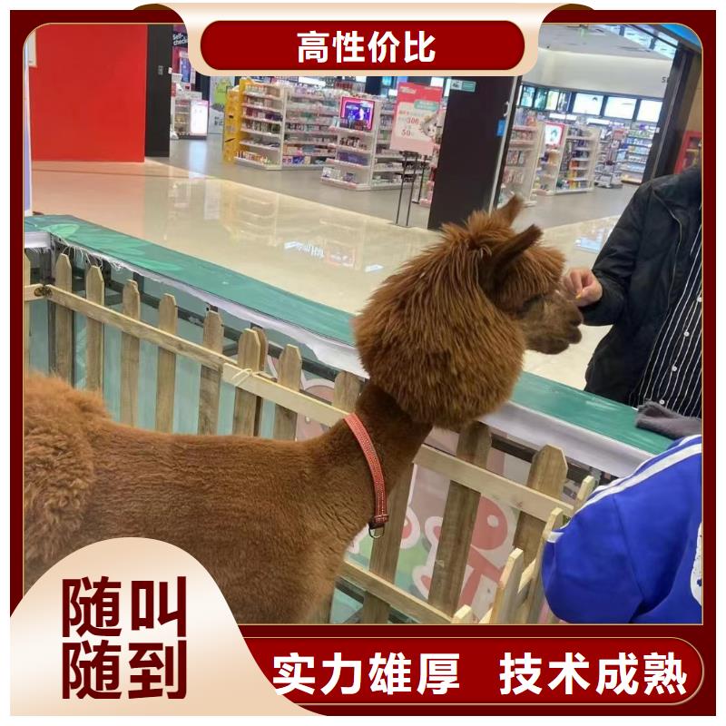 萌宠展出租联系我们