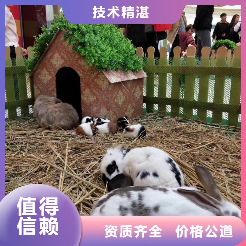 出租马戏团表演公司周边