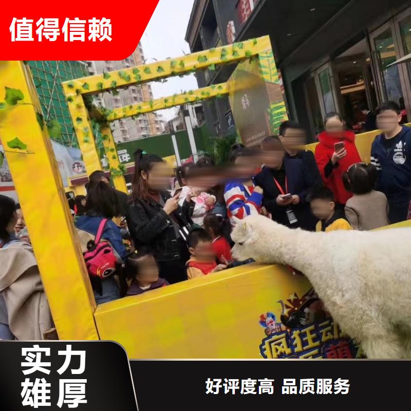 哪有出租马戏团的
