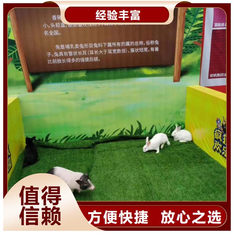马戏团表演出租周边