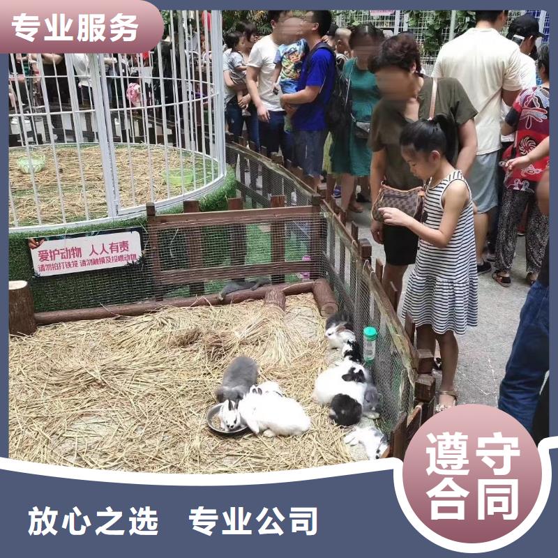 萌宠展出租活跃气氛