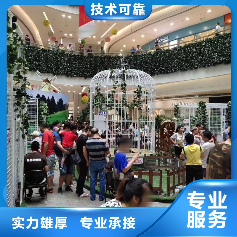环球飞车表演租赁资源丰富