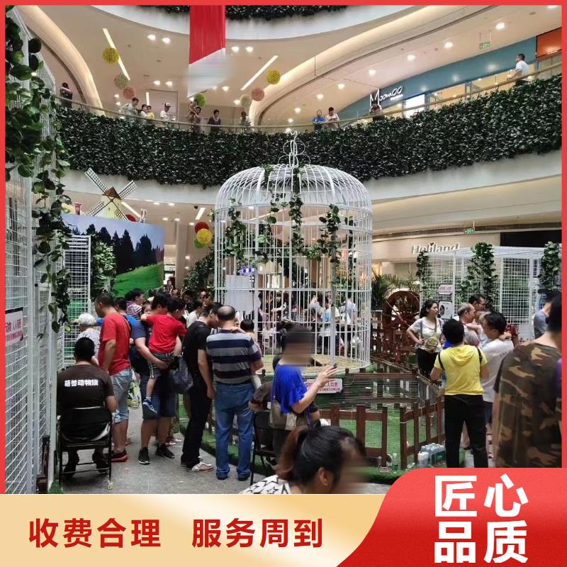 哪里有出租羊驼的附近