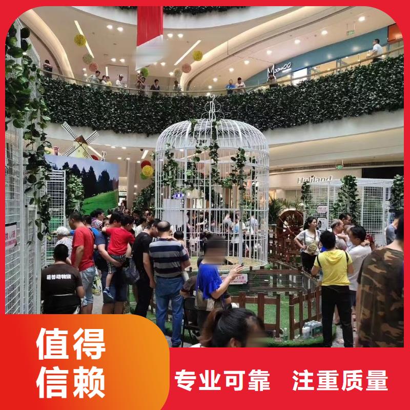 萌宠展出租活跃气氛