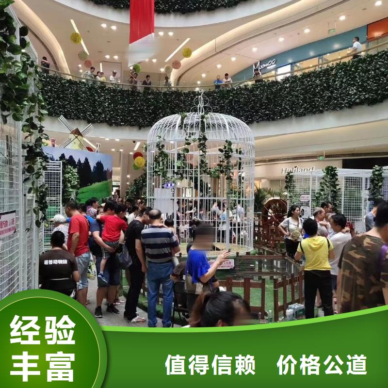 哪里有租赁动物的