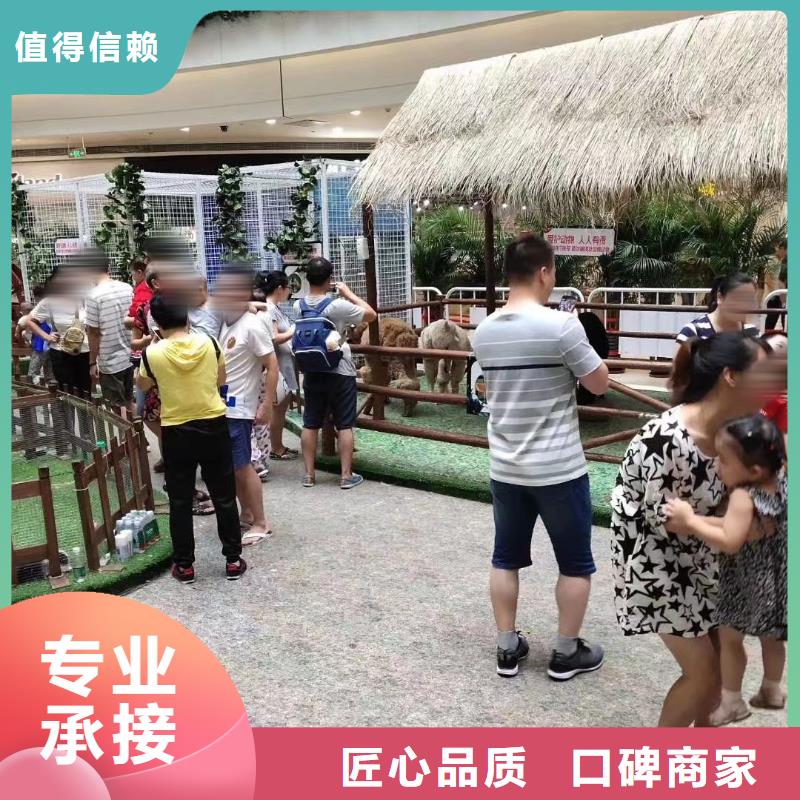哪里有租赁动物的