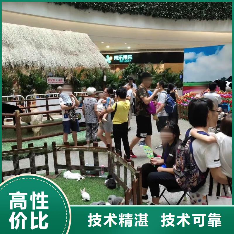 租赁表演马戏团免费资源