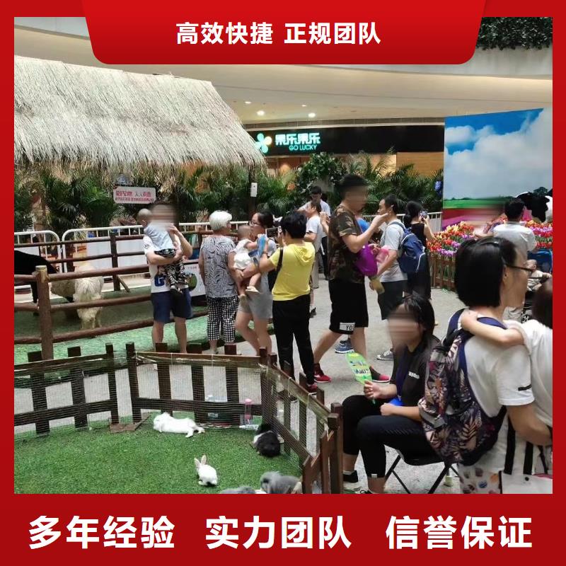 马戏团/羊驼-海狮表演出租快捷