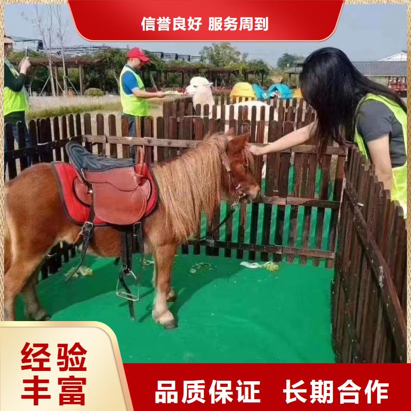 动物展租赁