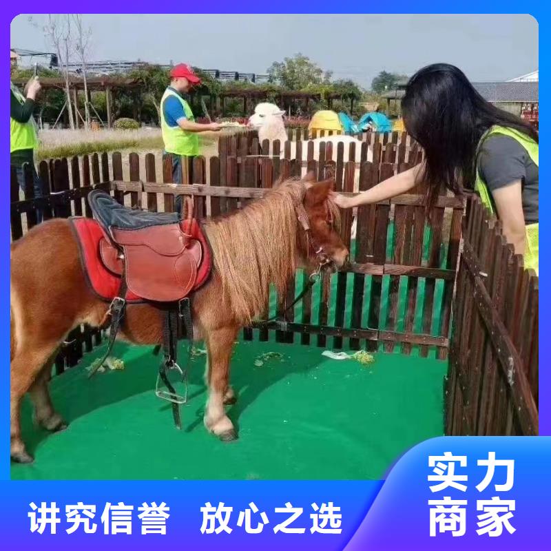租赁马戏团表演联系电话