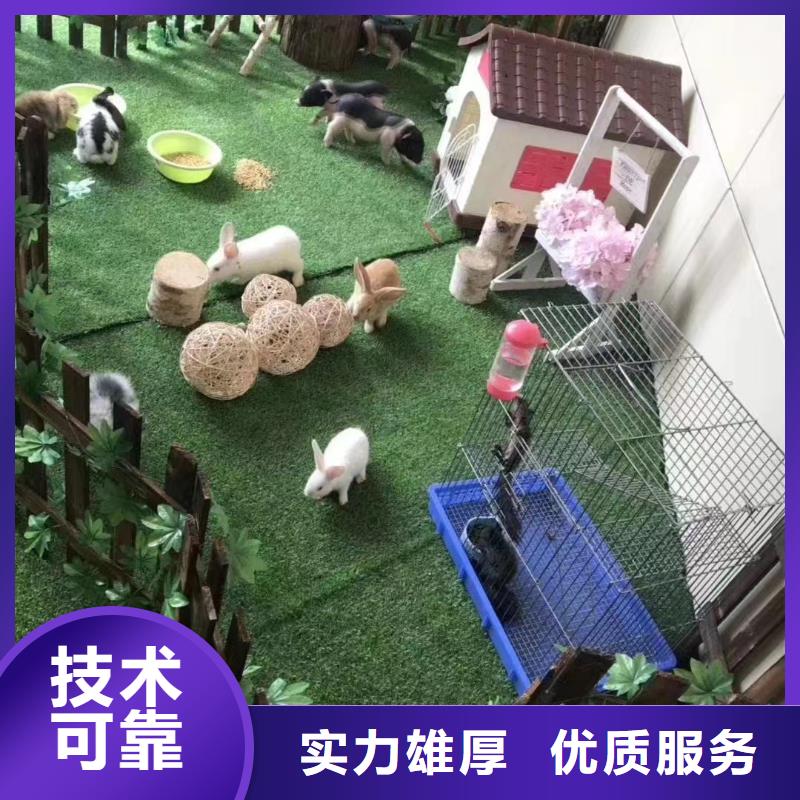环球飞车表演租赁免费资源