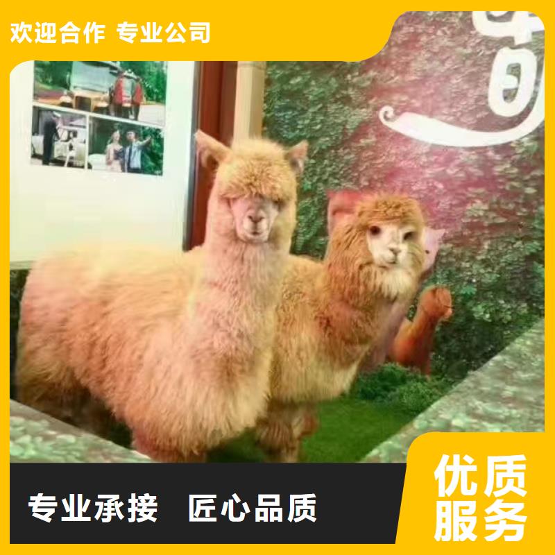 萌宠动物展租赁点击