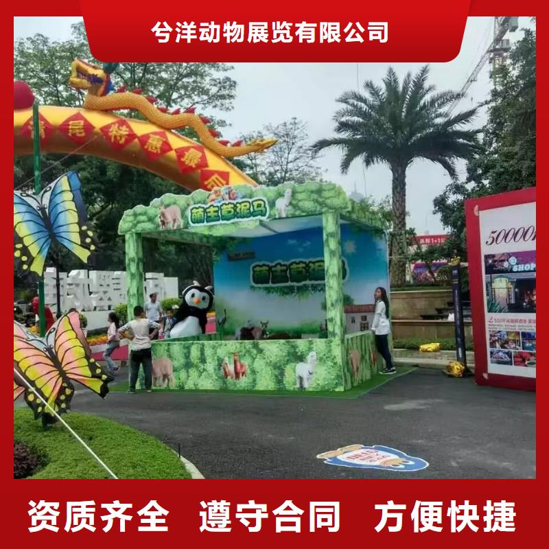 哪有出租动物表演的附近