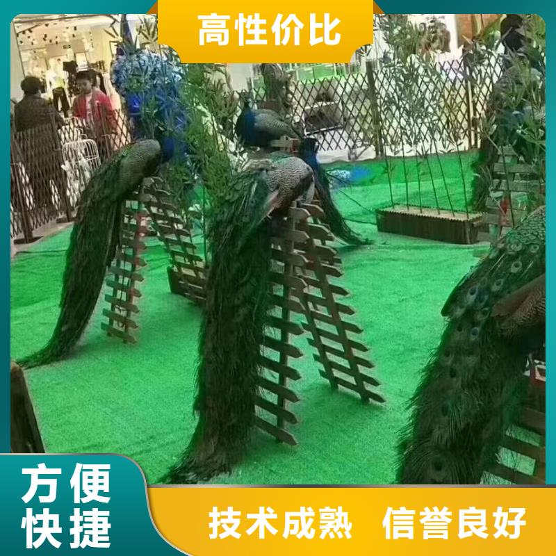 动物展租赁