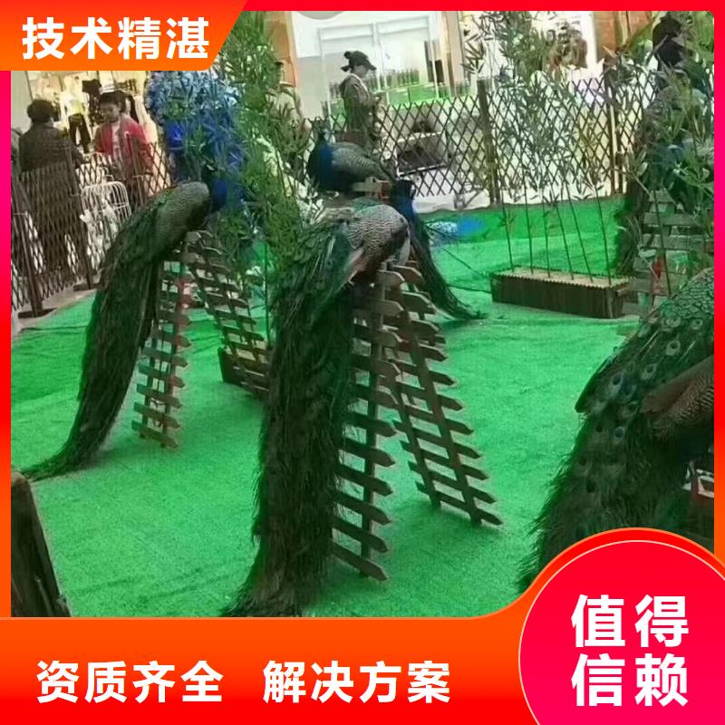 萌宠展出租附近