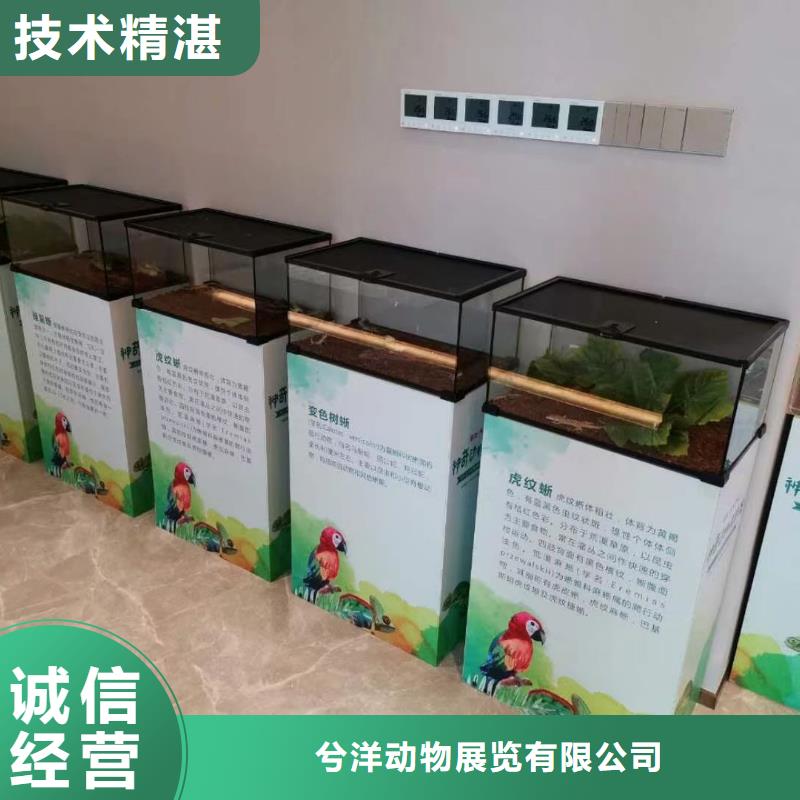 哪有出租羊驼的
