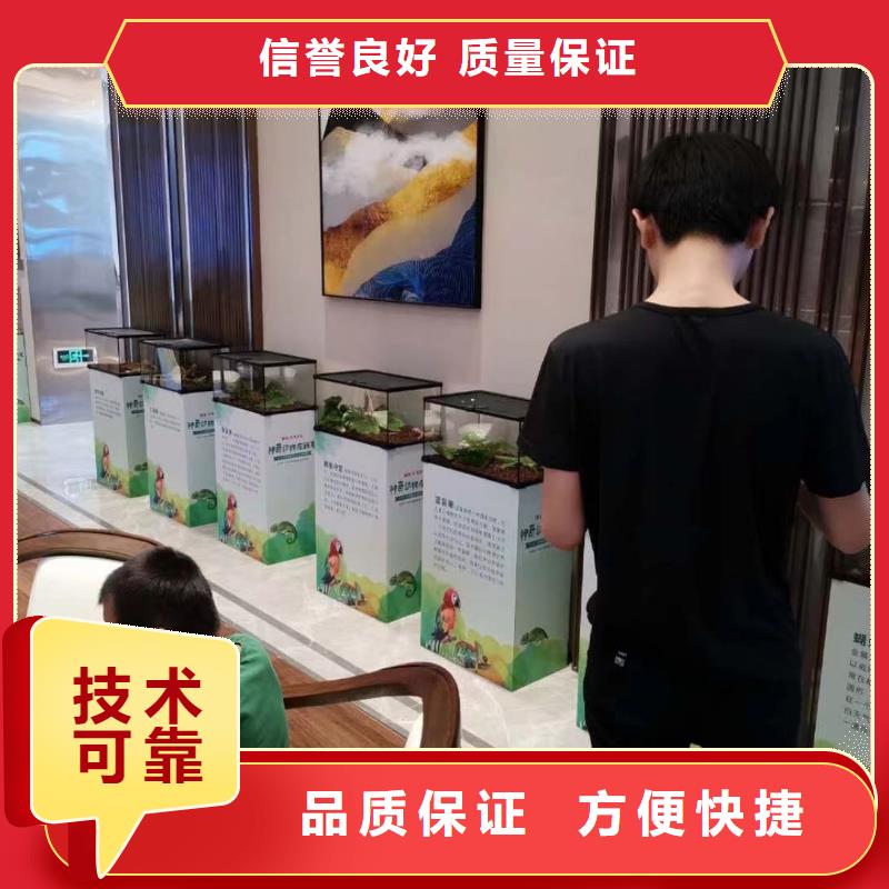 动物表演租赁点击查看