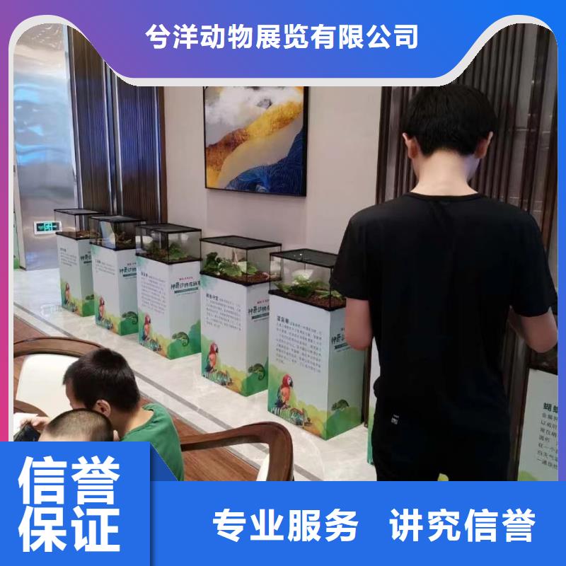 马戏团表演出租主题展览
