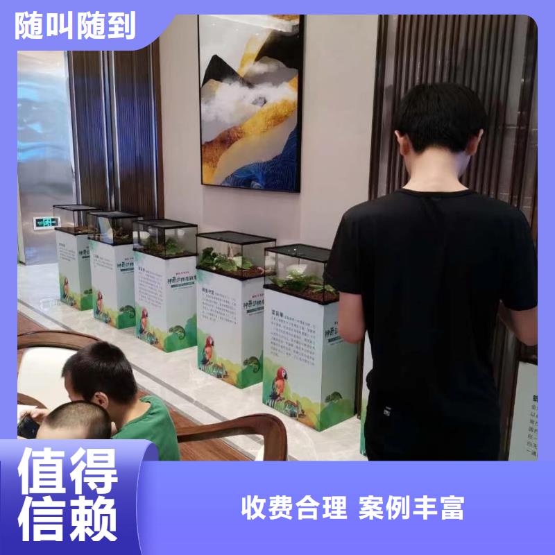 鹦鹉表演租赁到厂参观