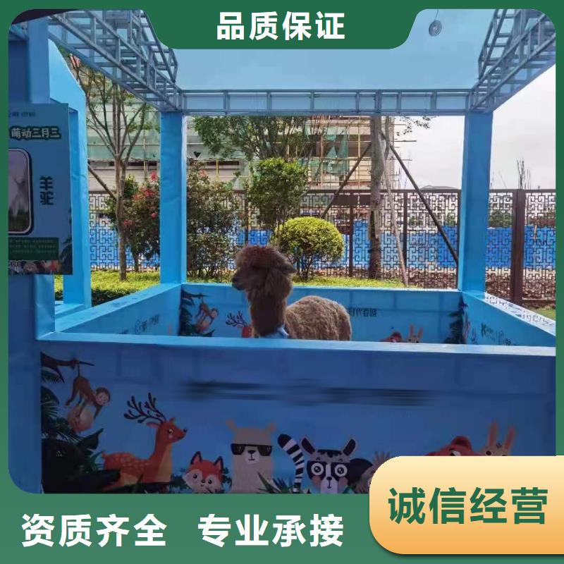 租赁羊驼主题展览