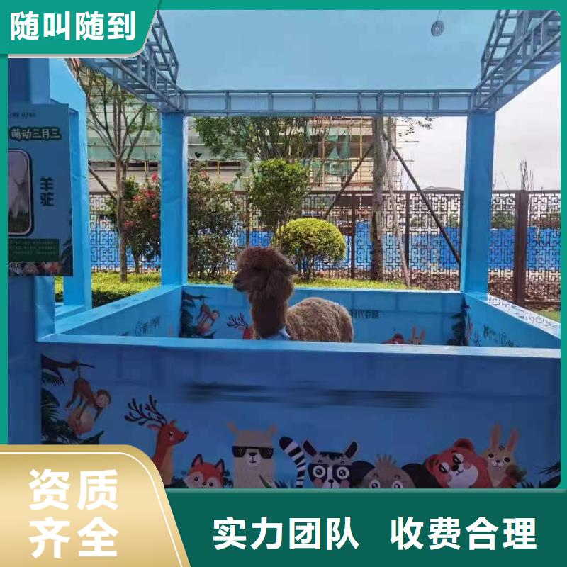 马戏团表演出租活动案例