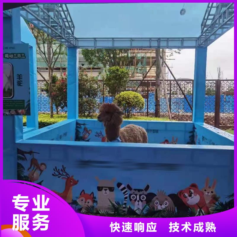 羊驼租赁节日活动