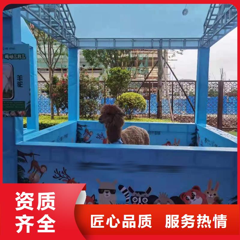 马戏团表演出租一手资源