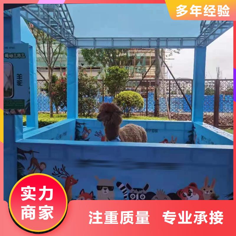 羊驼出租联系电话