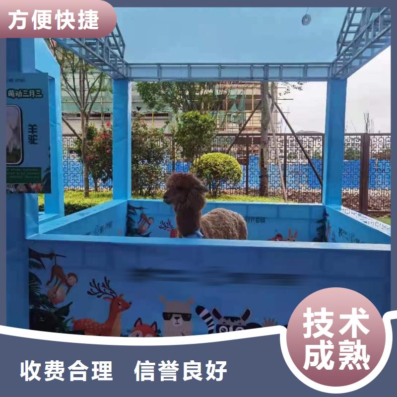 哪里有出租动物的节日活动