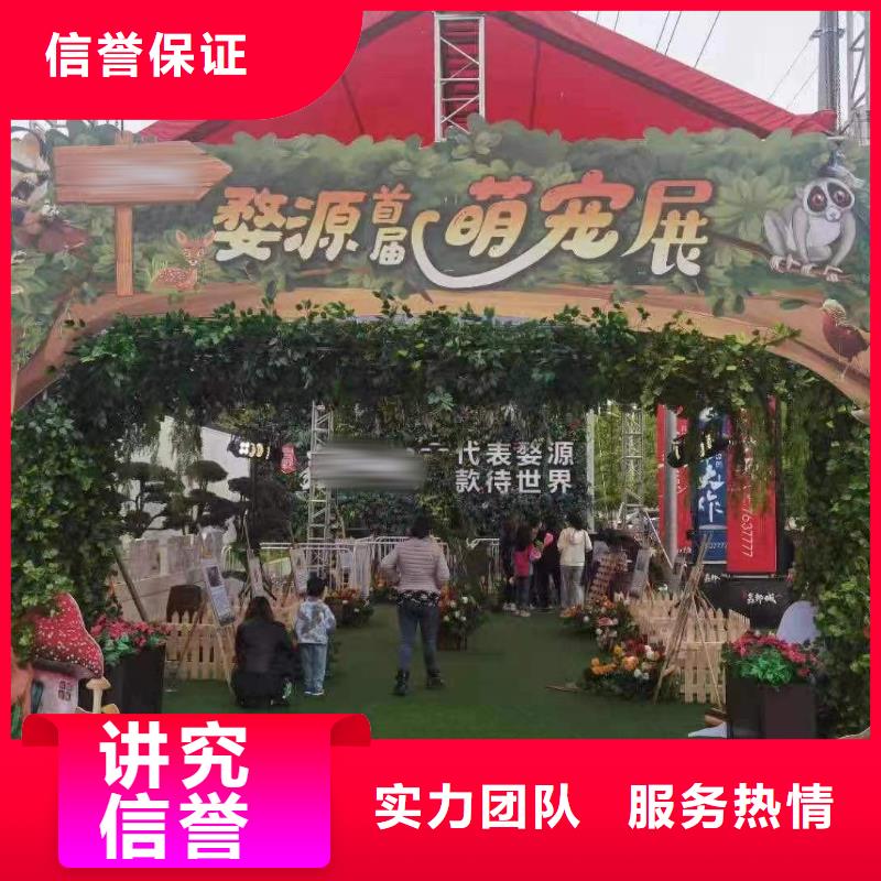 马戏团/羊驼 表演羊驼租赁团队