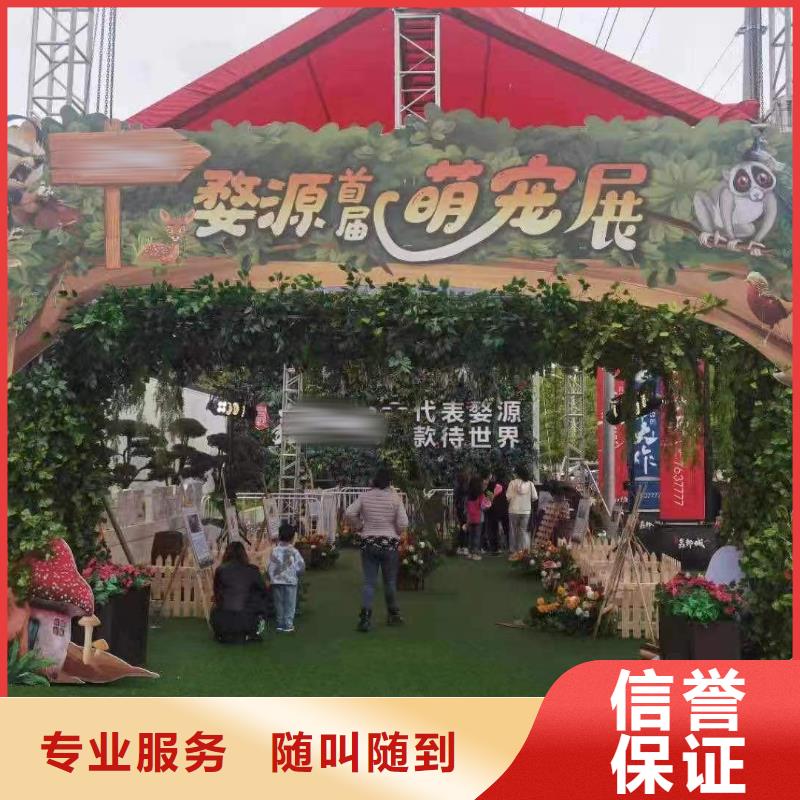 附近羊驼出租公司公司电话