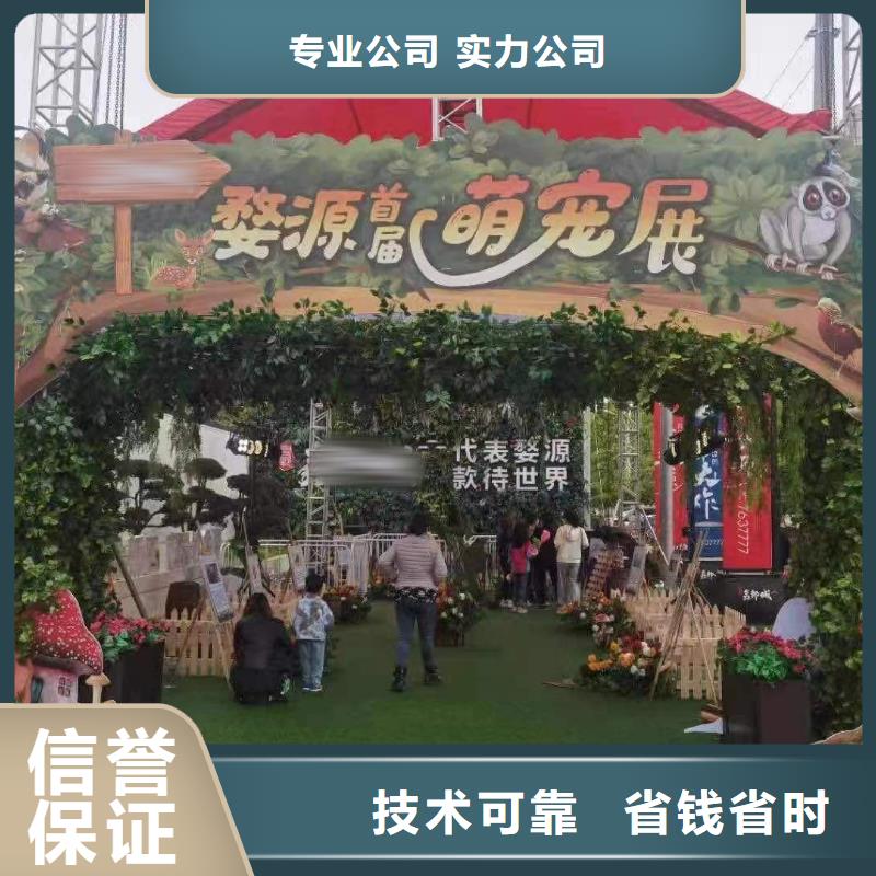 马戏团/羊驼-羊驼出租有实力