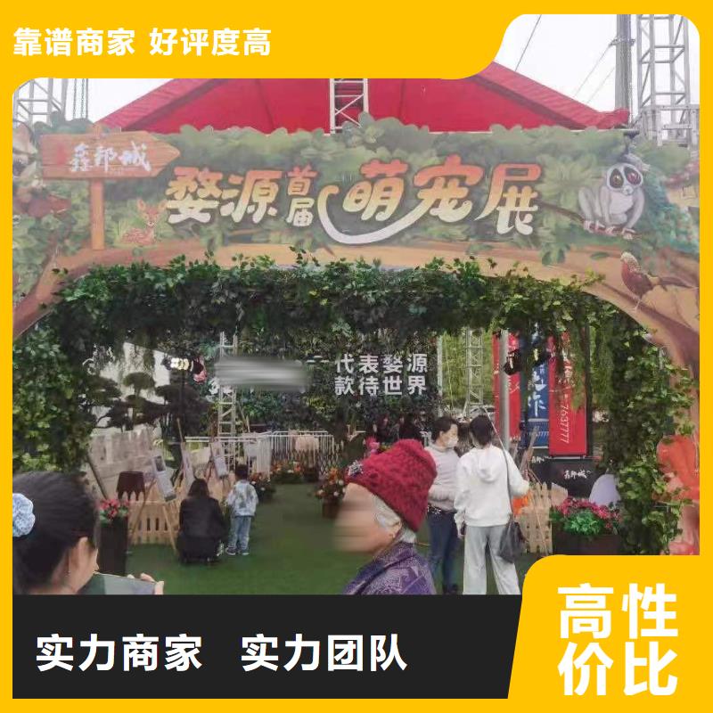 萌宠展出租活跃气氛