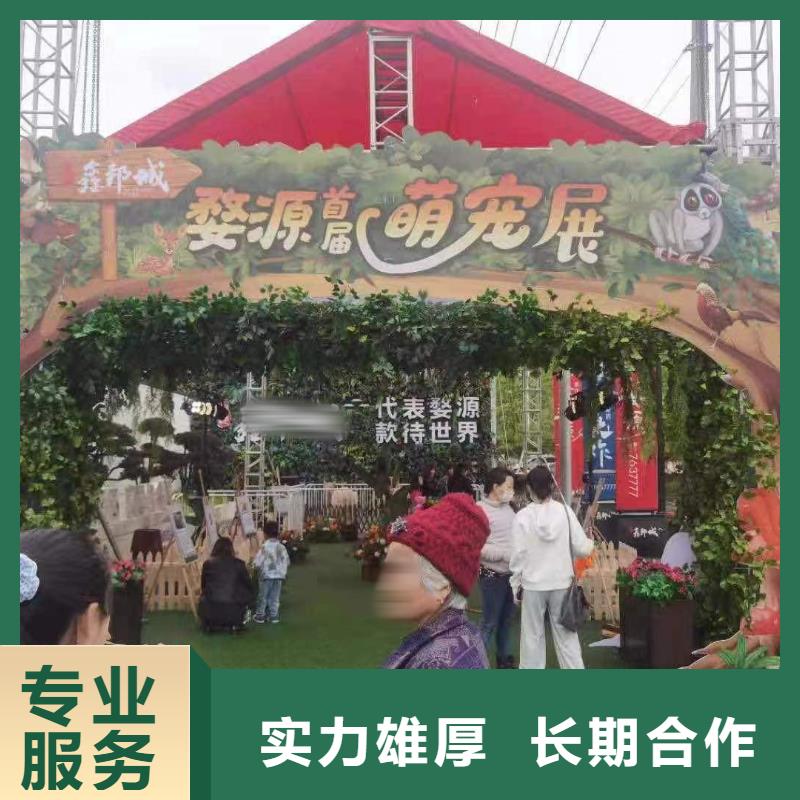 马戏团/羊驼环球飞车表演出租从业经验丰富