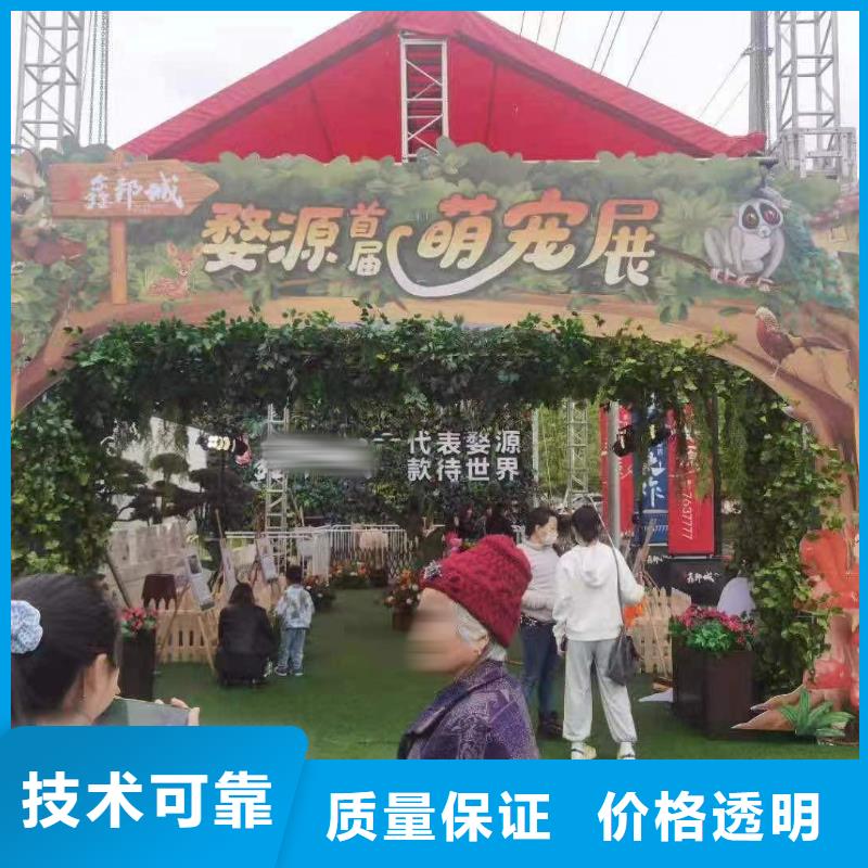 哪有羊驼出租周边