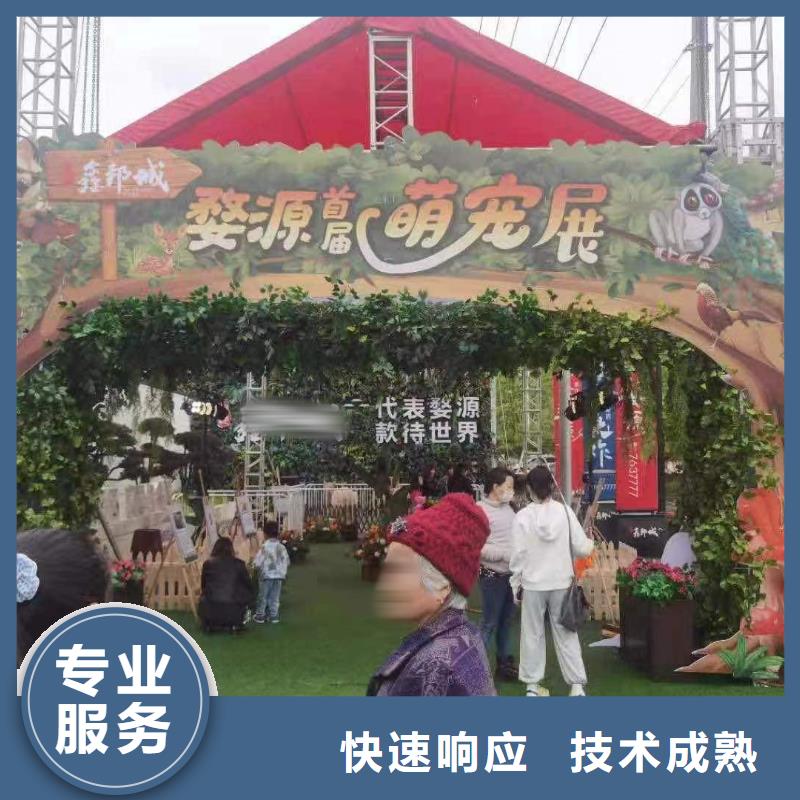 动物表演出租