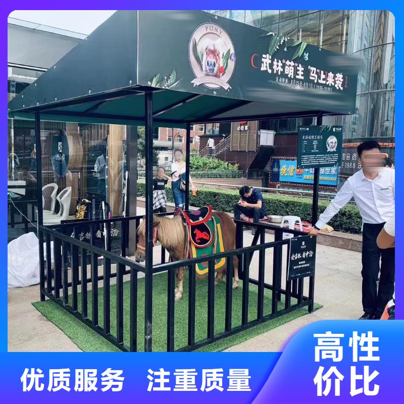 羊驼租赁公司