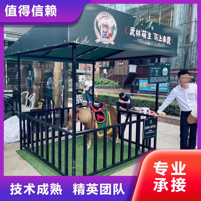 哪有出租马戏团的查看图片