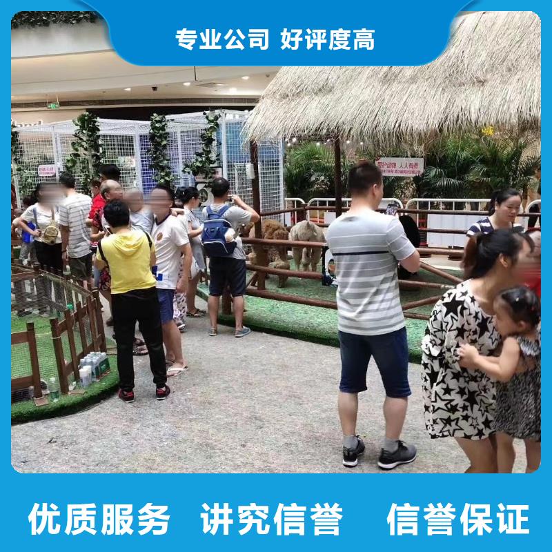 出租马戏团表演公司联系方式