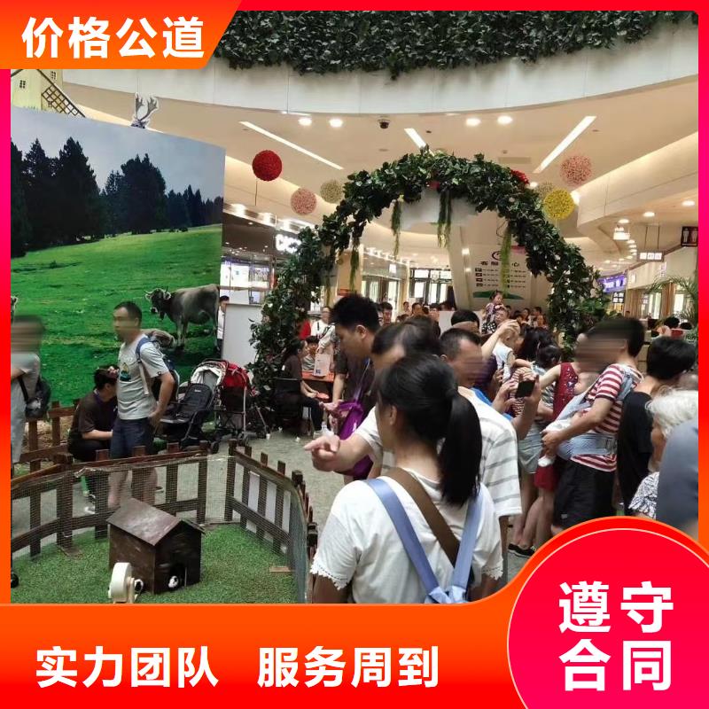 马戏团/羊驼马戏团表演一站搞定