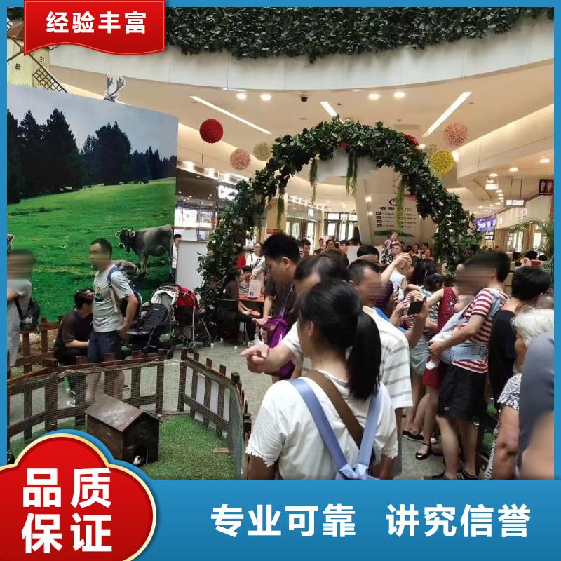 环球飞车表演出租活跃气氛