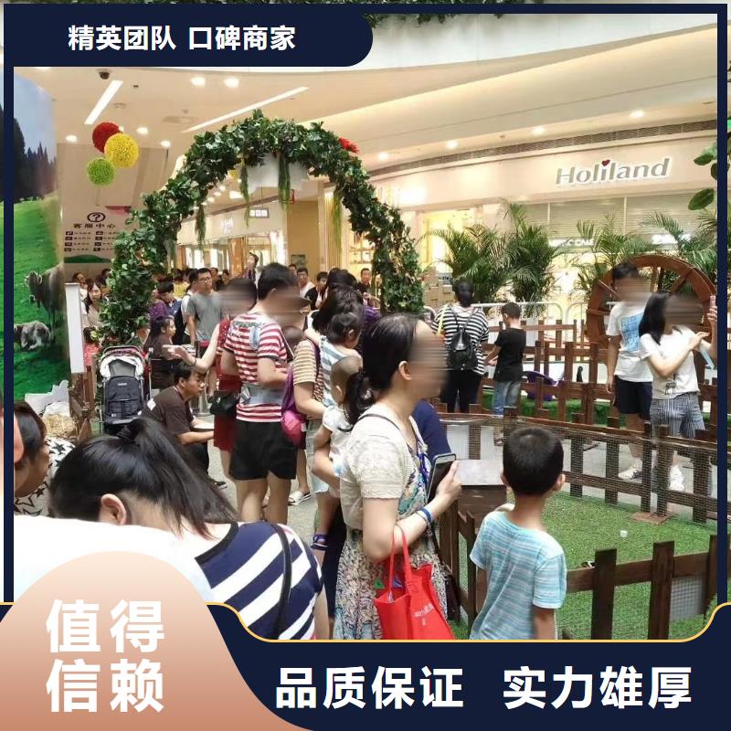 哪有出租羊驼的