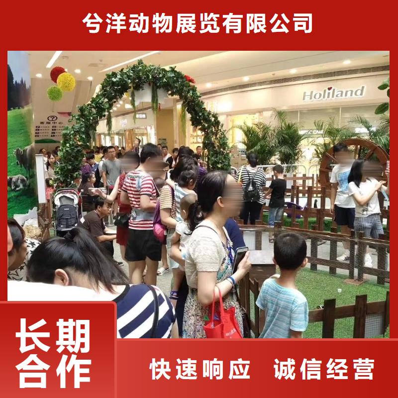 马戏团演出马戏团表演出租