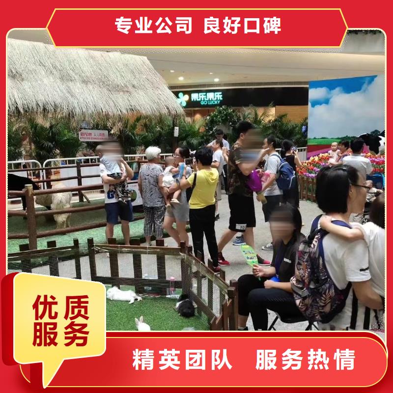动物表演租赁品种多
