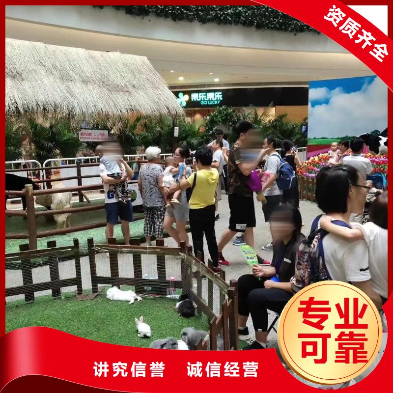 马戏团/羊驼-【羊驼出租】明码标价